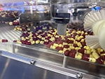 Высокоскоростная упаковочная машина SHW-APM (производительность: 600-2100 шт./мин)